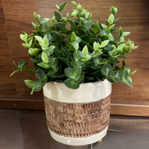 Twice Baked Grandma Pottery